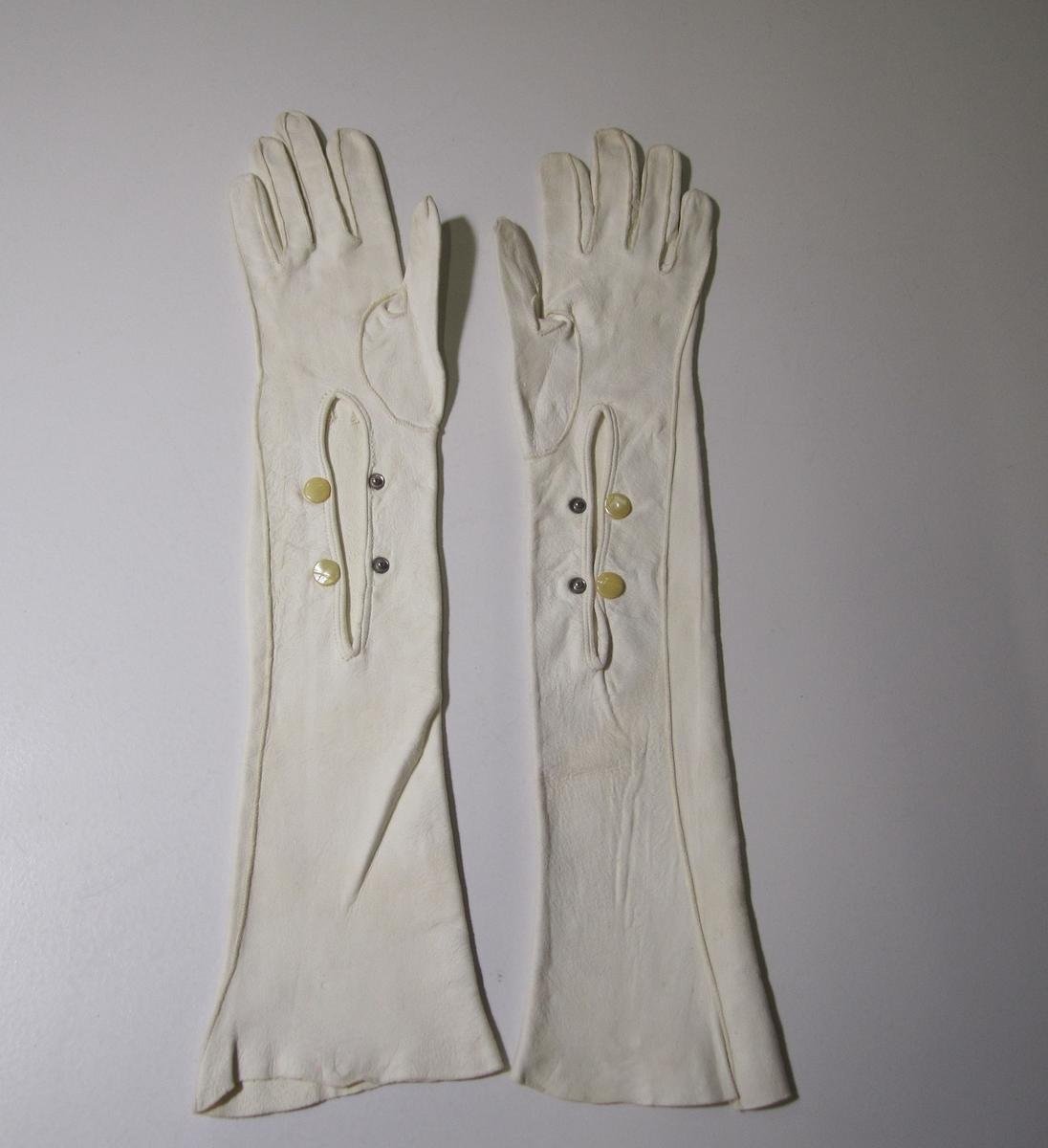 Women's kid gloves Waikato Museum