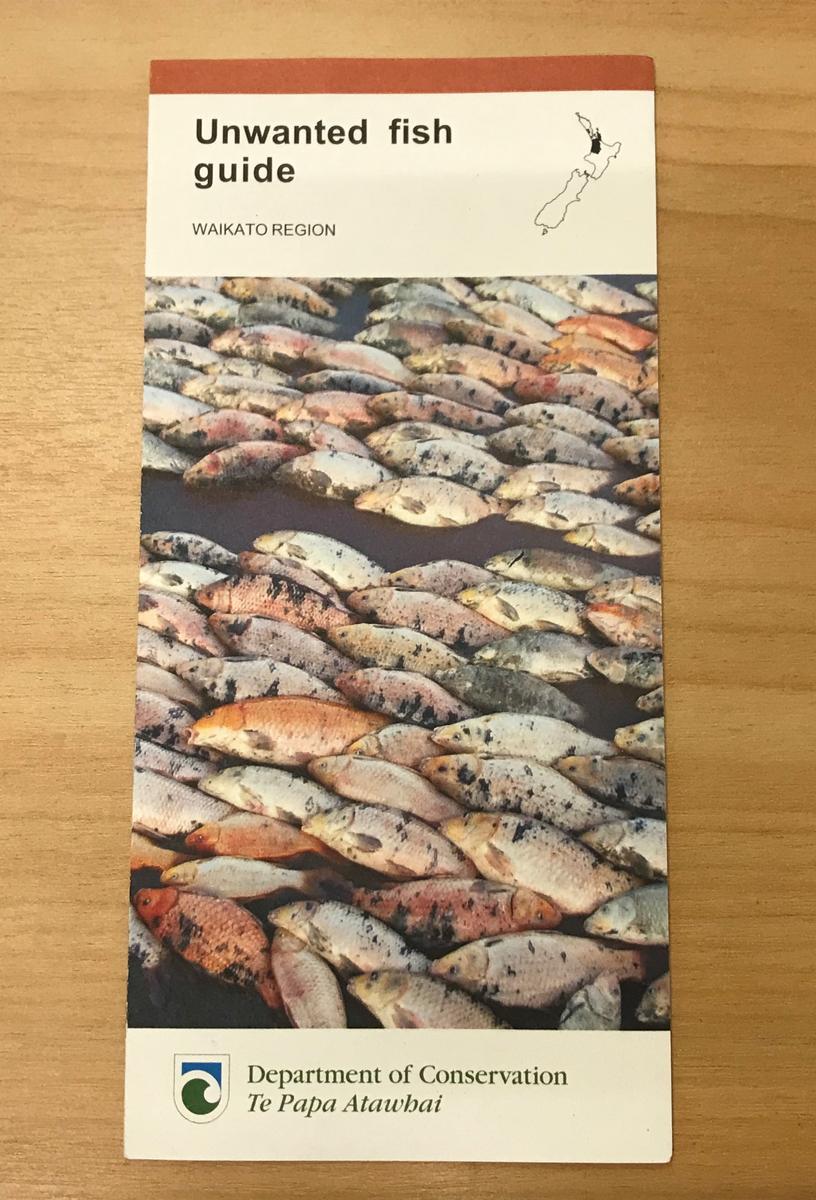 Unwanted fish guide Waikato Museum